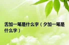 舌加一笔是什么字（夕加一笔是什么字）