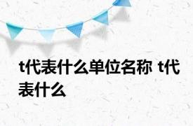 t代表什么单位名称 t代表什么