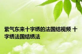 紫气东来十字绣的法国结视频 十字绣法国结绣法 