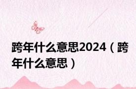 跨年什么意思2024（跨年什么意思）