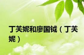丁芙妮和廖国钺（丁芙妮）