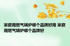 家庭用燃气锅炉哪个品牌好用 家庭用燃气锅炉哪个品牌好