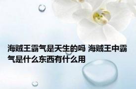 海贼王霸气是天生的吗 海贼王中霸气是什么东西有什么用