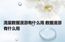 流量数据漫游有什么用 数据漫游有什么用