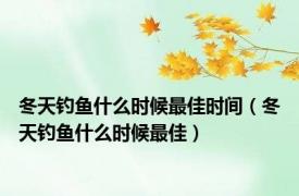 冬天钓鱼什么时候最佳时间（冬天钓鱼什么时候最佳）
