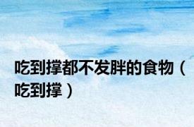 吃到撑都不发胖的食物（吃到撑）