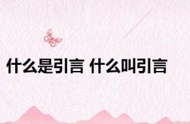 什么是引言 什么叫引言