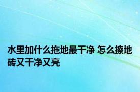 水里加什么拖地最干净 怎么擦地砖又干净又亮