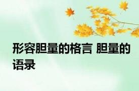 形容胆量的格言 胆量的语录