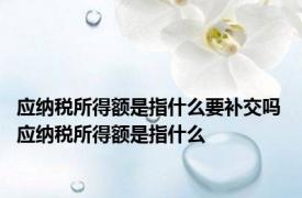 应纳税所得额是指什么要补交吗 应纳税所得额是指什么
