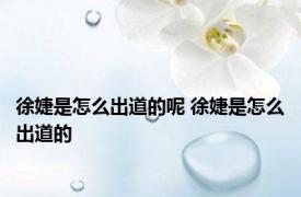 徐婕是怎么出道的呢 徐婕是怎么出道的