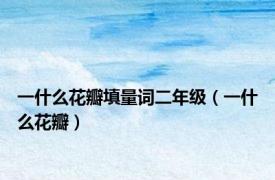 一什么花瓣填量词二年级（一什么花瓣）
