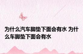为什么汽车脚垫下面会有水 为什么车脚垫下面会有水