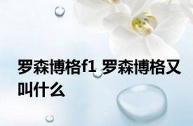 罗森博格f1 罗森博格又叫什么