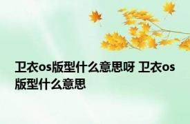 卫衣os版型什么意思呀 卫衣os版型什么意思