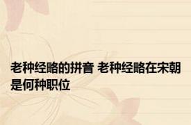 老种经略的拼音 老种经略在宋朝是何种职位