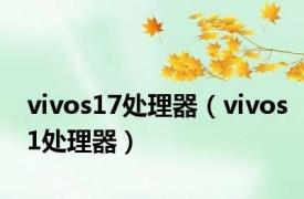 vivos17处理器（vivos1处理器）