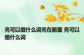 亮可以组什么词亮在前面 亮可以组什么词