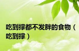 吃到撑都不发胖的食物（吃到撑）