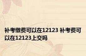 补考缴费可以在12123 补考费可以在12123上交吗