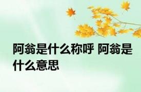阿翁是什么称呼 阿翁是什么意思