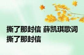 撕了那封信 薛凯琪歌词 撕了那封信 