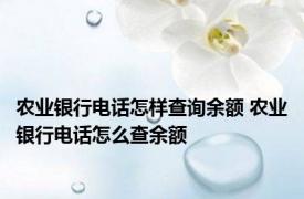农业银行电话怎样查询余额 农业银行电话怎么查余额