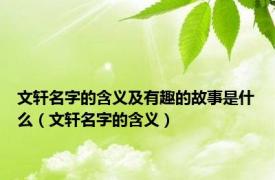 文轩名字的含义及有趣的故事是什么（文轩名字的含义）