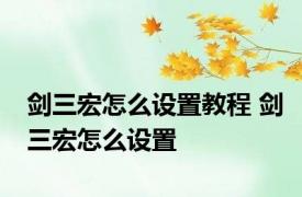 剑三宏怎么设置教程 剑三宏怎么设置