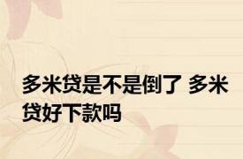 多米贷是不是倒了 多米贷好下款吗