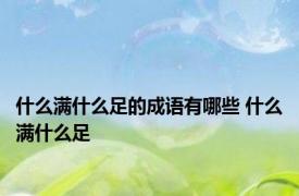 什么满什么足的成语有哪些 什么满什么足