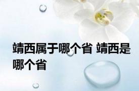 靖西属于哪个省 靖西是哪个省