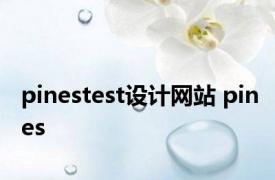 pinestest设计网站 pines 