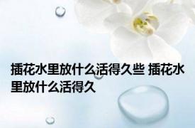 插花水里放什么活得久些 插花水里放什么活得久
