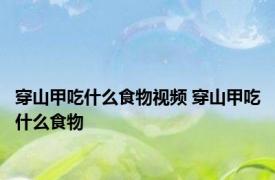 穿山甲吃什么食物视频 穿山甲吃什么食物