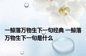 一鲸落万物生下一句经典 一鲸落万物生下一句是什么