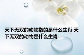 天下无双的动物指的是什么生肖 天下无双的动物是什么生肖