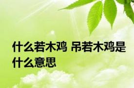 什么若木鸡 吊若木鸡是什么意思