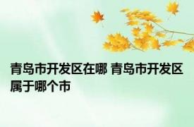 青岛市开发区在哪 青岛市开发区属于哪个市