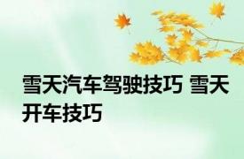 雪天汽车驾驶技巧 雪天开车技巧