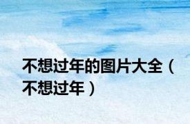 不想过年的图片大全（不想过年）