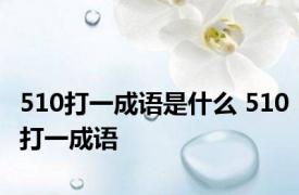 510打一成语是什么 510打一成语
