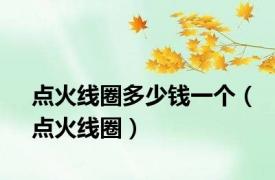 点火线圈多少钱一个（点火线圈）