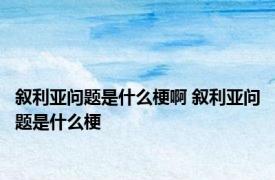 叙利亚问题是什么梗啊 叙利亚问题是什么梗