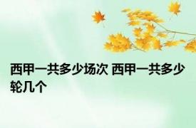 西甲一共多少场次 西甲一共多少轮几个