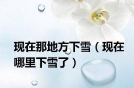 现在那地方下雪（现在哪里下雪了）