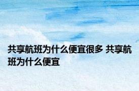 共享航班为什么便宜很多 共享航班为什么便宜