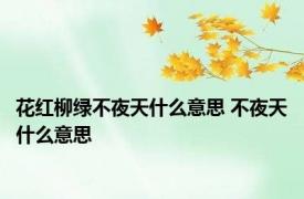花红柳绿不夜天什么意思 不夜天什么意思