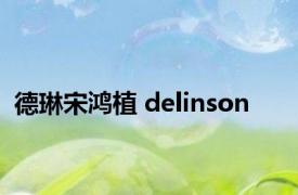 德琳宋鸿植 delinson 