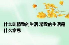 什么叫精致的生活 精致的生活是什么意思